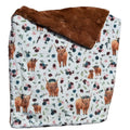 Highland Cow