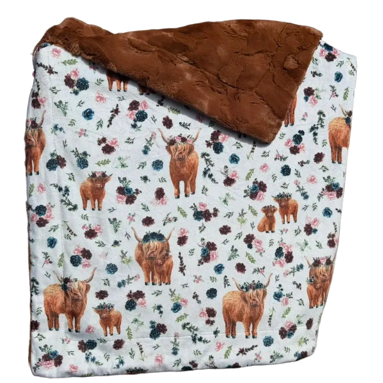 Highland Cow
